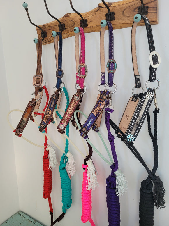 Lariat hybird halters