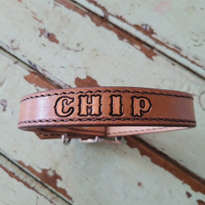 Custom dog collar