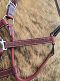 Rope nose black buckstitched halter