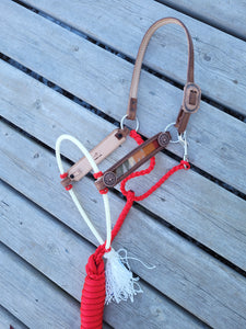 Lariat hybrid halter