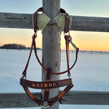 Custom leather halter