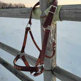 Custom leather halter