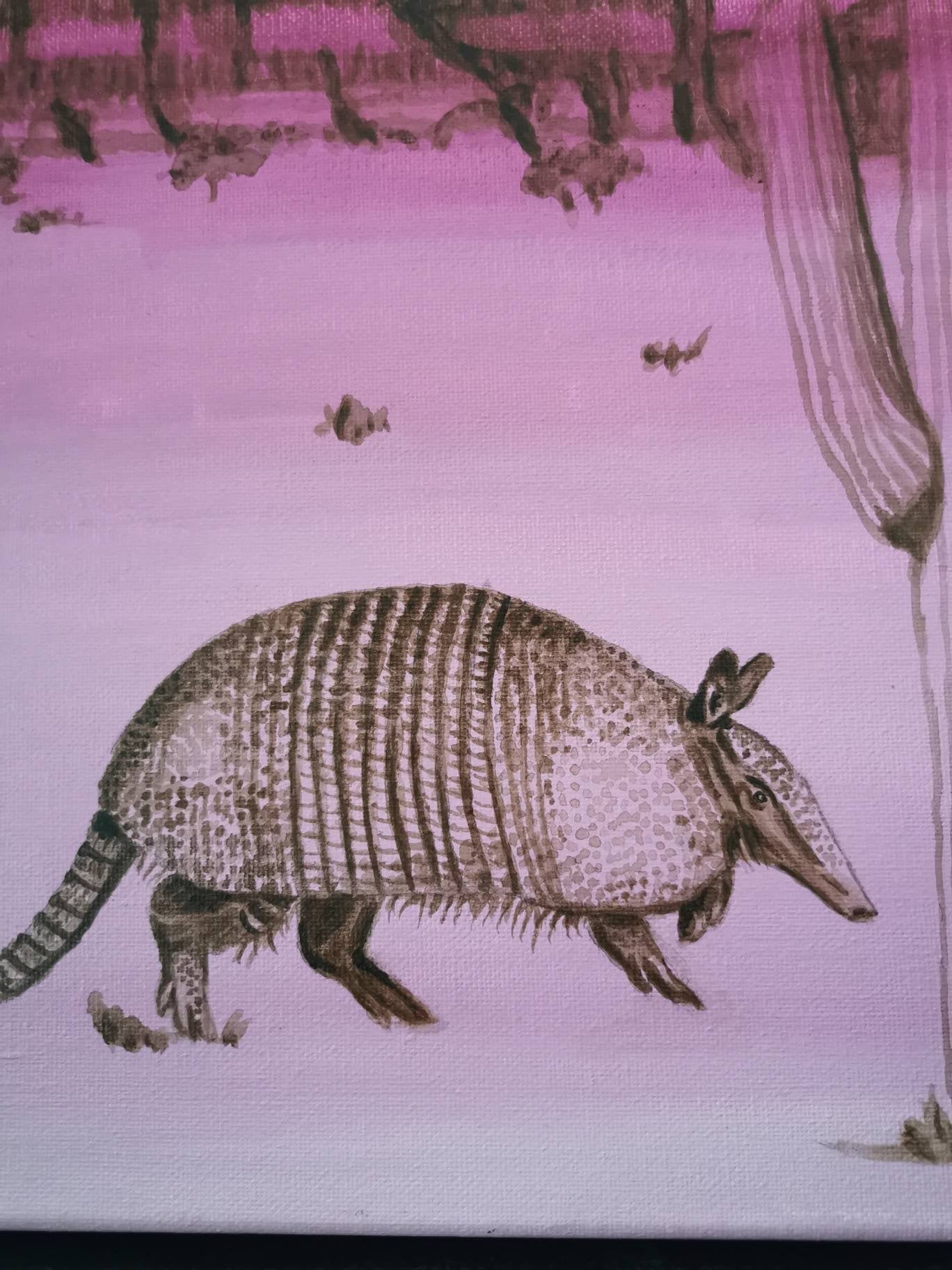 Armadillo cactus Arizona landscape